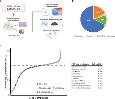 High-throughput drug screening identifies fluoxetine as a potential therapeutic agent for neuroendocrine prostate cancer